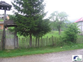 valea-doftanei-teren-intravilan-5