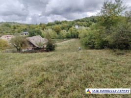 teren-3979-mp-intraextrav-v-romanestilor-campulung-arges