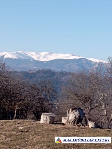 vila-cu-4-camere-si-teren-de-2500-mp-de-vanzare-in-cretisoara-campulung-muscel-arges-15