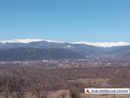 vila-cu-4-camere-si-teren-de-2500-mp-de-vanzare-in-cretisoara-campulung-muscel-arges-17