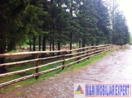 teren-munte-4005-mp-extravilan-cabana-voina-leresti-arges-9