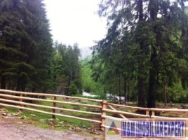teren-munte-4005-mp-extravilan-cabana-voina-leresti-arges-12