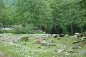 teren-munte-4005-mp-extravilan-cabana-voina-leresti-arges-7