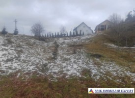 vand-teren-667-mp-intravilan-in-rucar-arges-1