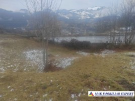 vand-teren-667-mp-intravilan-in-rucar-arges-3