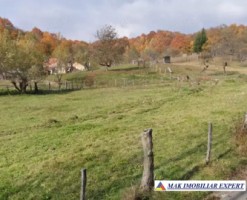 teren-1600-mp-intravilan-vanzare-albestii-de-muscel-arges-2