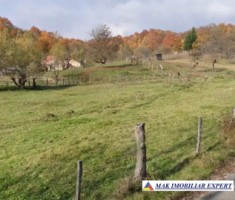 teren-1600-mp-intravilan-vanzare-albestii-de-muscel-arges