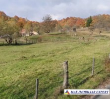 teren-1600-mp-intravilan-vanzare-albestii-de-muscel-arges-3