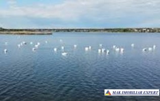 vand-teren-4000-mp-intravilan-in-cernica-ilfov-bucuresti-10