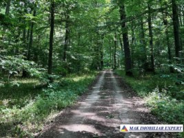 vand-teren-4000-mp-intravilan-in-cernica-ilfov-bucuresti-14