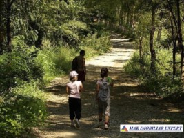 vand-teren-4000-mp-intravilan-in-cernica-ilfov-bucuresti-16