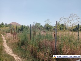 vand-teren-1000-euro-intravilan-tinganu-mic-cernica-ilfov-5