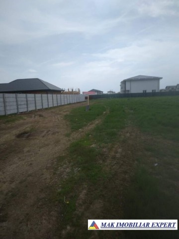 teren-intravilan-1129-mp-in-clinceni-olteni-ilfov-2