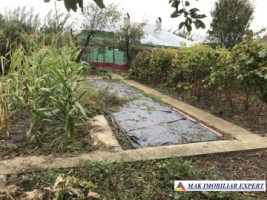 casa-2-camere-si-teren-900-mp-de-vanzare-in-ghimpati-giurgiu-9