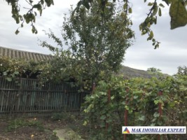 casa-2-camere-si-teren-900-mp-de-vanzare-in-ghimpati-giurgiu-11