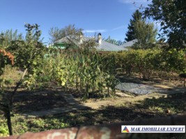 casa-2-camere-si-teren-900-mp-de-vanzare-in-ghimpati-giurgiu-12