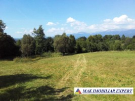 teren-7684-mp-intravilan-in-v-barbusii-chilii-campulung-ag