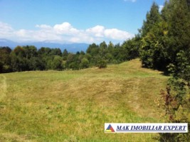 teren-7684-mp-intravilan-in-v-barbusii-chilii-campulung-ag-2