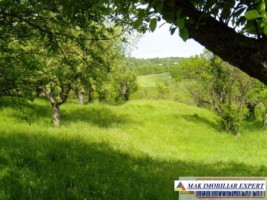 de-vanzare-teren-3294-mp-intravilan-stoenesti-piatra-arges-3