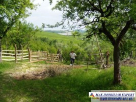 de-vanzare-teren-3294-mp-intravilan-stoenesti-piatra-arges-1