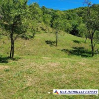 de-vanzare-teren-3294-mp-intravilan-stoenesti-piatra-arges-4