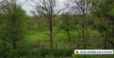 vand-teren-7550-mp-intravilan-valea-bradului-mihaesti-arges-1