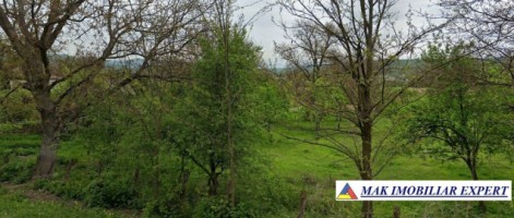 vand-teren-7550-mp-intravilan-valea-bradului-mihaesti-arges