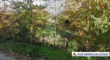 vand-teren-7550-mp-intravilan-valea-bradului-mihaesti-arges-4