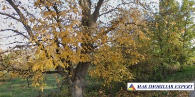 vand-teren-7550-mp-intravilan-valea-bradului-mihaesti-arges-6