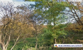 vand-teren-7550-mp-intravilan-valea-bradului-mihaesti-arges-5