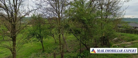 vand-teren-7550-mp-intravilan-valea-bradului-mihaesti-arges-2