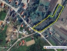 vand-teren-7550-mp-intravilan-valea-bradului-mihaesti-arges-7