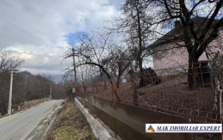 vand-casa-4-camere-cu-teren-237-ha-innucsoara-arges-4