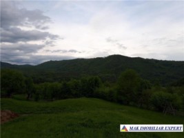 vand-casa-4-camere-cu-teren-237-ha-innucsoara-arges-14