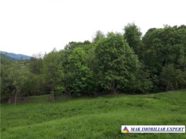 vand-casa-4-camere-cu-teren-237-ha-innucsoara-arges-12