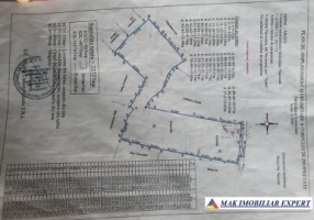 vand-casa-4-camere-cu-teren-237-ha-innucsoara-arges-15