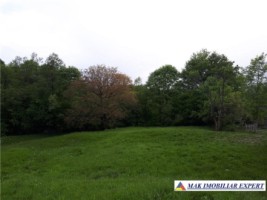 vand-casa-4-camere-cu-teren-237-ha-innucsoara-arges-13