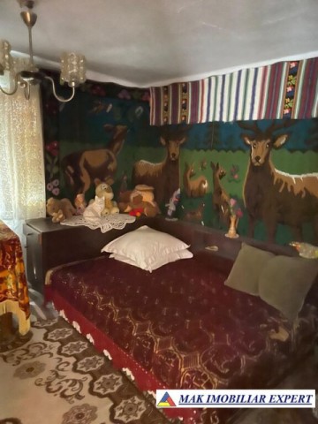 casa-batraneasca-5-cam-teren-1000-mp-1ha-malu-godeni-arges-16