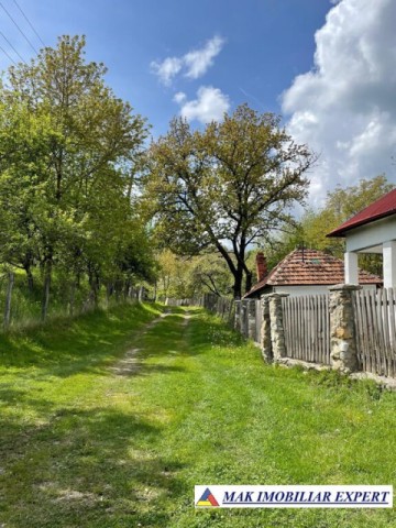 casa-batraneasca-5-cam-teren-1000-mp-1ha-malu-godeni-arges-27