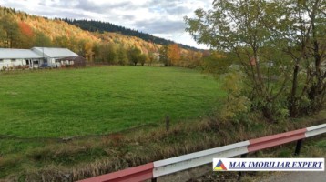 teren-intravilan-3839-mp-de-vanzare-in-tarina-leresti-arges-2