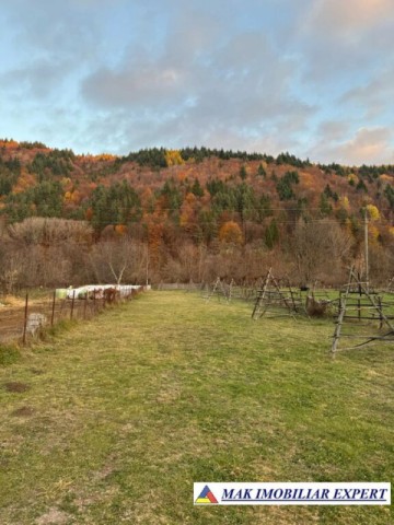 teren-1226-mp-intravilan-de-vanzare-in-stoenesti-arges-1