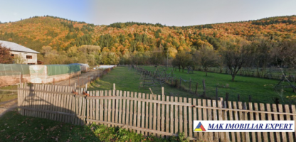 teren-1226-mp-intravilan-de-vanzare-in-stoenesti-arges-5