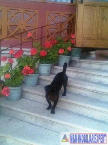 vila-5-camere-teren-235-mp-centru-campulung-muscel-arges-7