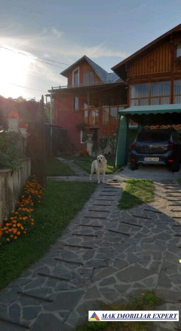 vila-5-camere-teren-235-mp-centru-campulung-muscel-arges-5