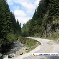 padure-275-ha-de-vanzare-cheile-valsanului-nucsoara-arges-3