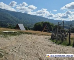 vand-teren-3000-mp-3000-mp-intravilan-nucsoara-arges-2