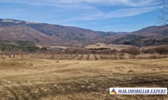 vand-teren-3000-mp-3000-mp-intravilan-nucsoara-arges-3