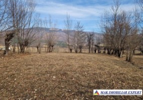 vand-teren-3000-mp-3000-mp-intravilan-nucsoara-arges-1