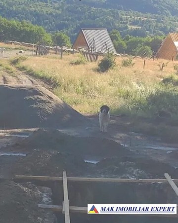 vand-teren-3000-mp-3000-mp-intravilan-nucsoara-arges-6