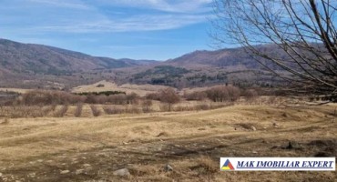 vand-teren-3000-mp-3000-mp-intravilan-nucsoara-arges-4